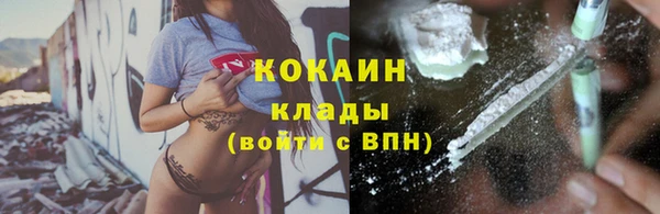 молекула духа Няндома
