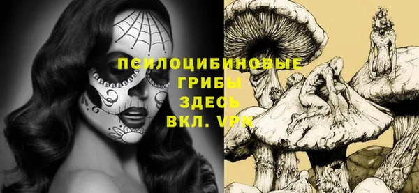 амф Абдулино