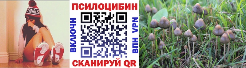 ОМГ ОМГ ONION  Алдан  Псилоцибиновые грибы мухоморы 