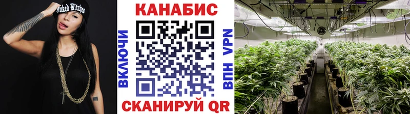 Каннабис семена  MEGA ссылки  Алдан  наркота 